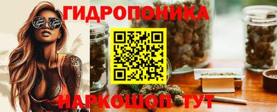 гашик Кулебаки