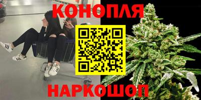 гашик Кулебаки