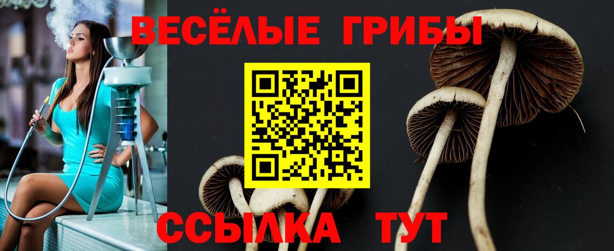 Псилоцибиновые грибы Magic Shrooms Вышний Волочёк